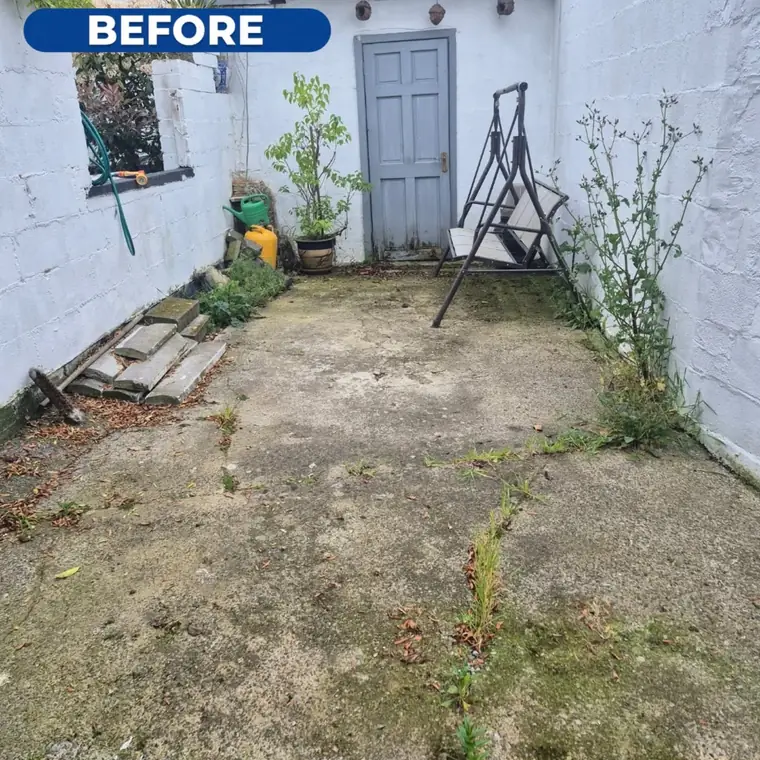 Concrete yard before cleaning, dirty with weeds along the wall.