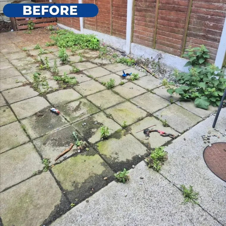 Patio slabs before cleaning, green with algae between the joints.