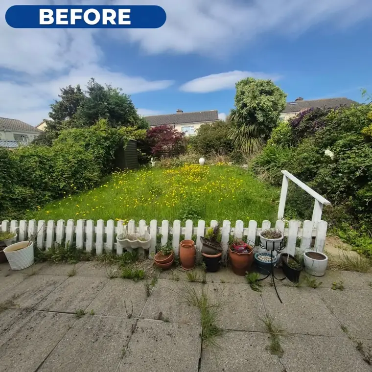 Lawn before cutting, long grass running over the paving edge.