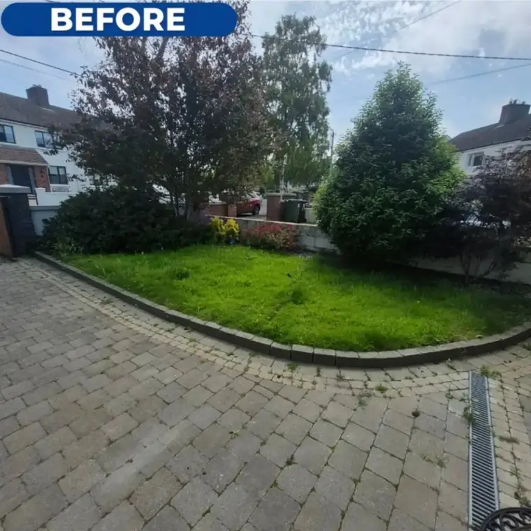 Garden before a tidy-up, long grass and overgrown borders.