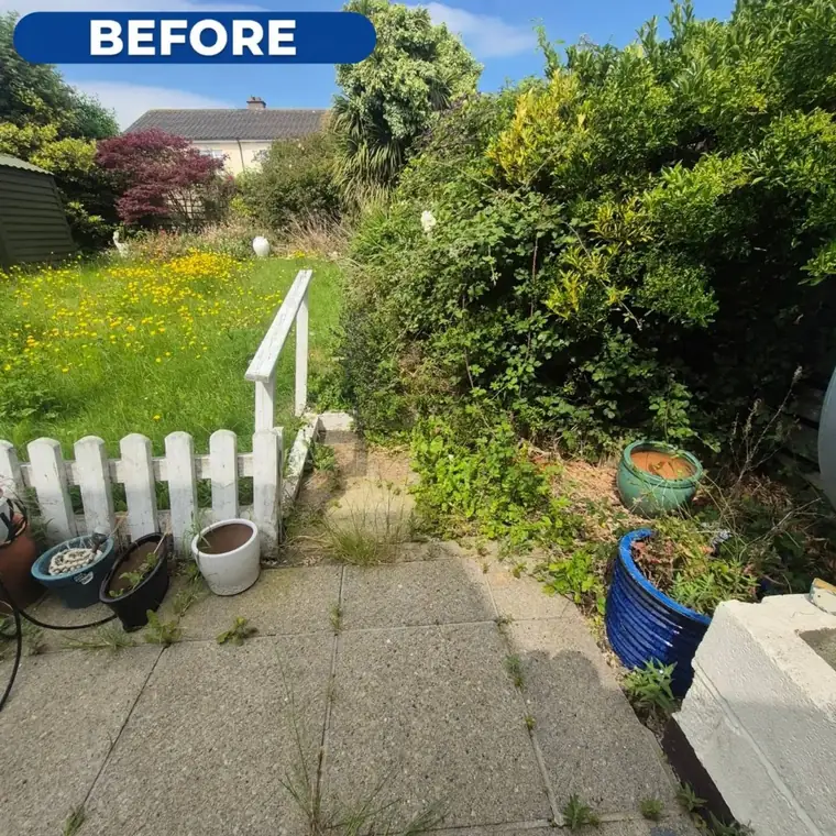 Front garden before clearance, weeds and growth across the path.